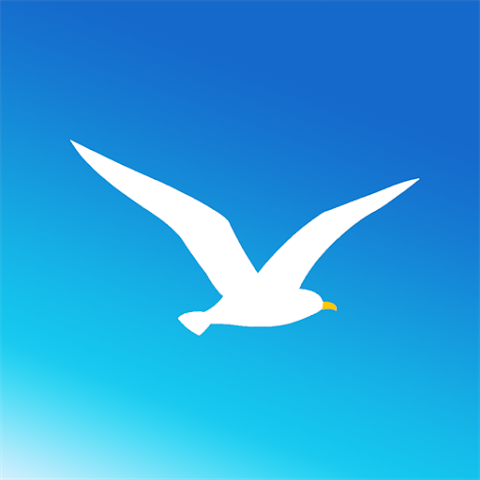 海鸥加速器app下载